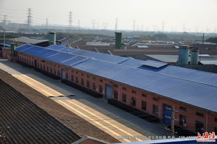 走進林牌地板 探訪工廠風貌與全實景產品展示，領略特殊鋼工藝的卓越品質